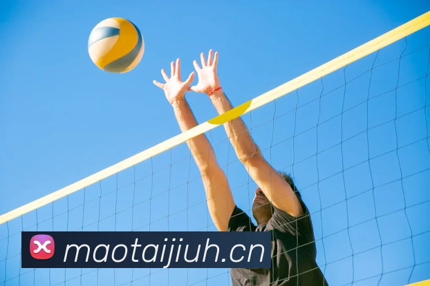 半岛网页版平台生态图