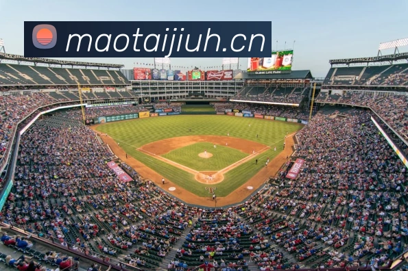 半岛网页版全站App